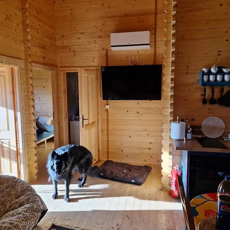 Magiczny Feriehus Drzewoszewo